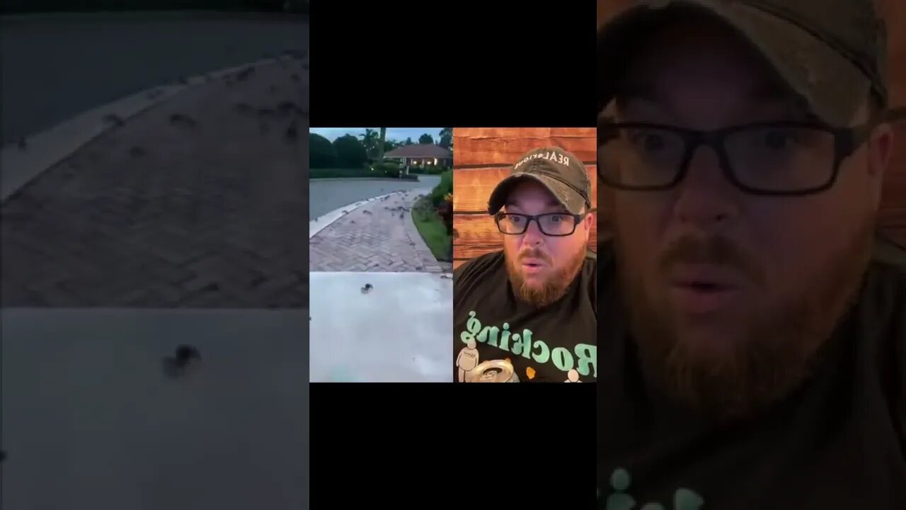 Here’s Your Dose Of REALarious…🤣🤣🤣 with @omgitswicks