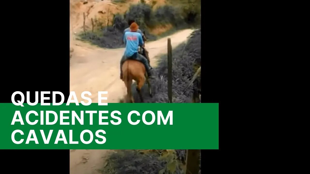 Quedas engraçadas com Cavalos, Boi, Burros - Peão Abeia