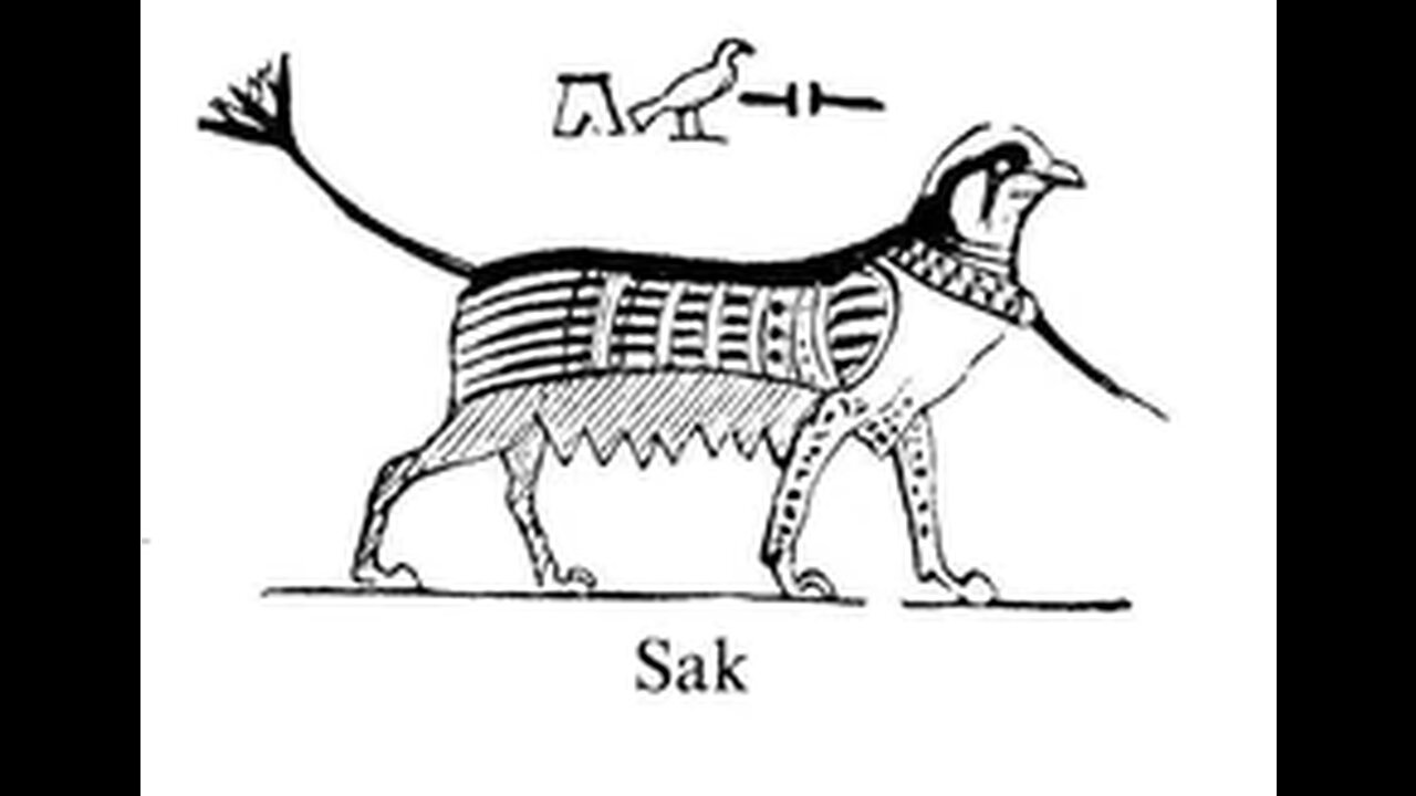 Sak