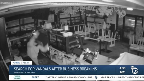 Two popular University Heights businesses broken into, suspects at large