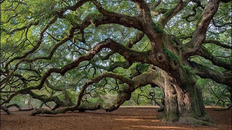 Old nature versus new nature in Christ