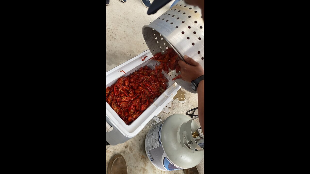 Who eatsThese ???