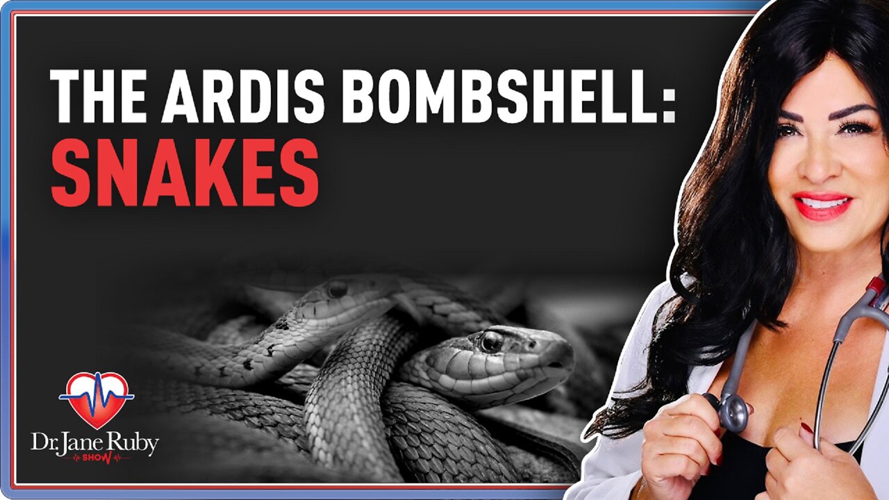 LIVE: The Ardis Bombshell - Snakes