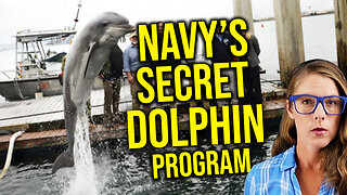 Health secret uncovered in Navy's dolphin program || Dr. Stephanie Venn-Watson