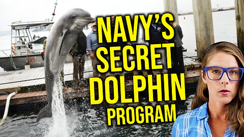 Health secret uncovered in Navy's dolphin program || Dr. Stephanie Venn-Watson