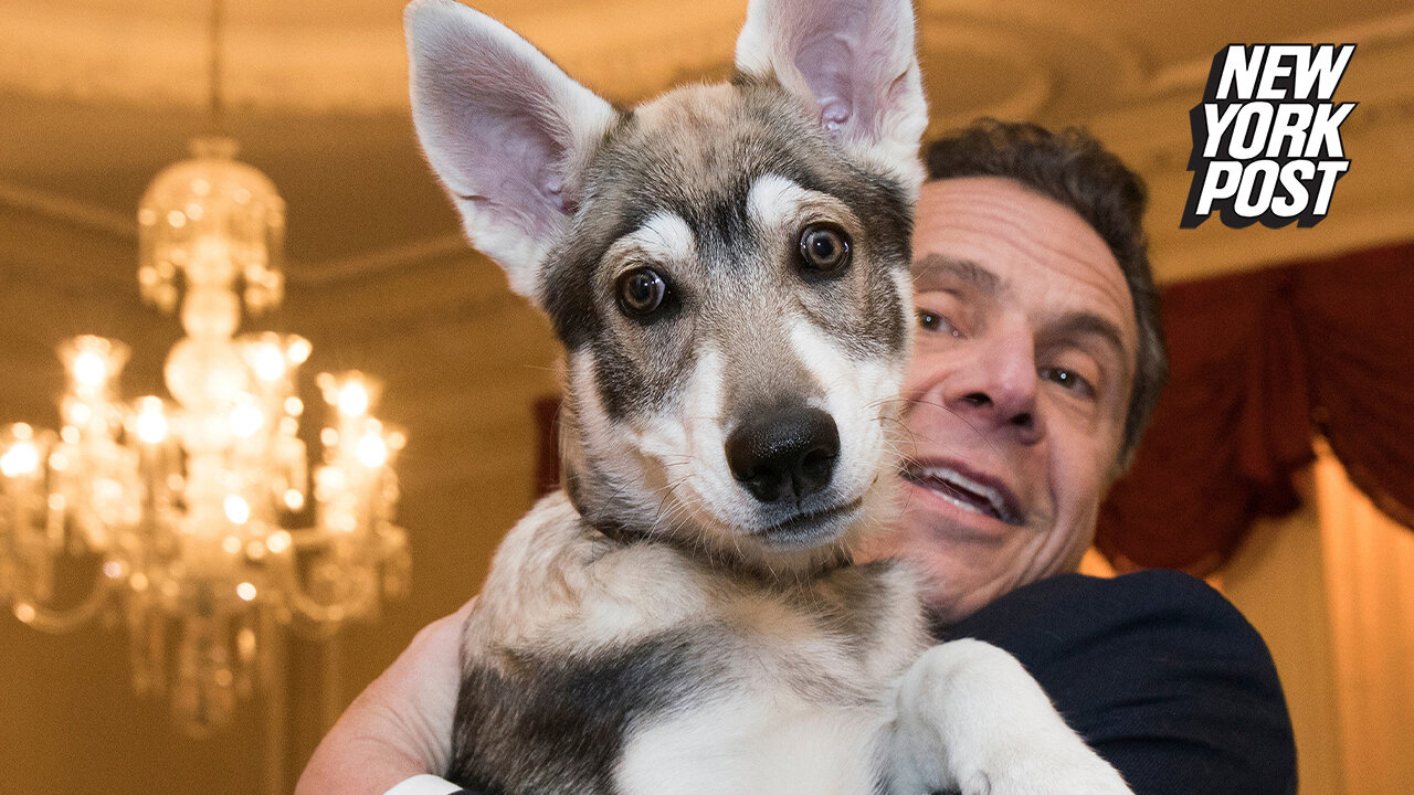 Andrew Cuomo reportedly leaves his dog behind at Albany mansion