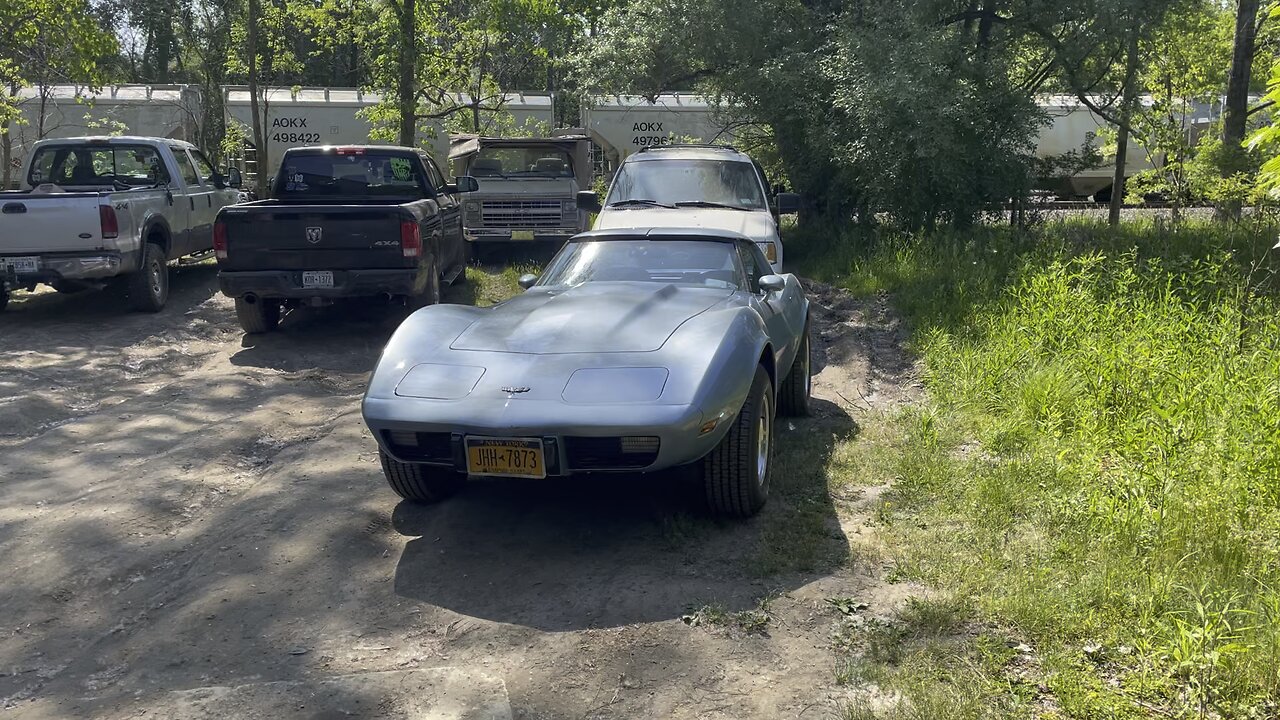 1977 Chevy corvette… in the wild