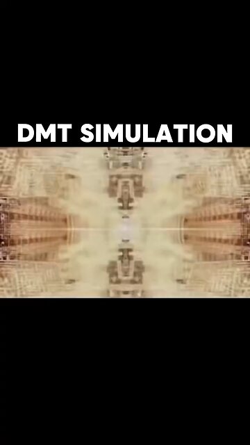 This is how Real DMT Trip looks like