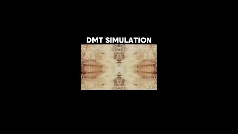 This is how Real DMT Trip looks like