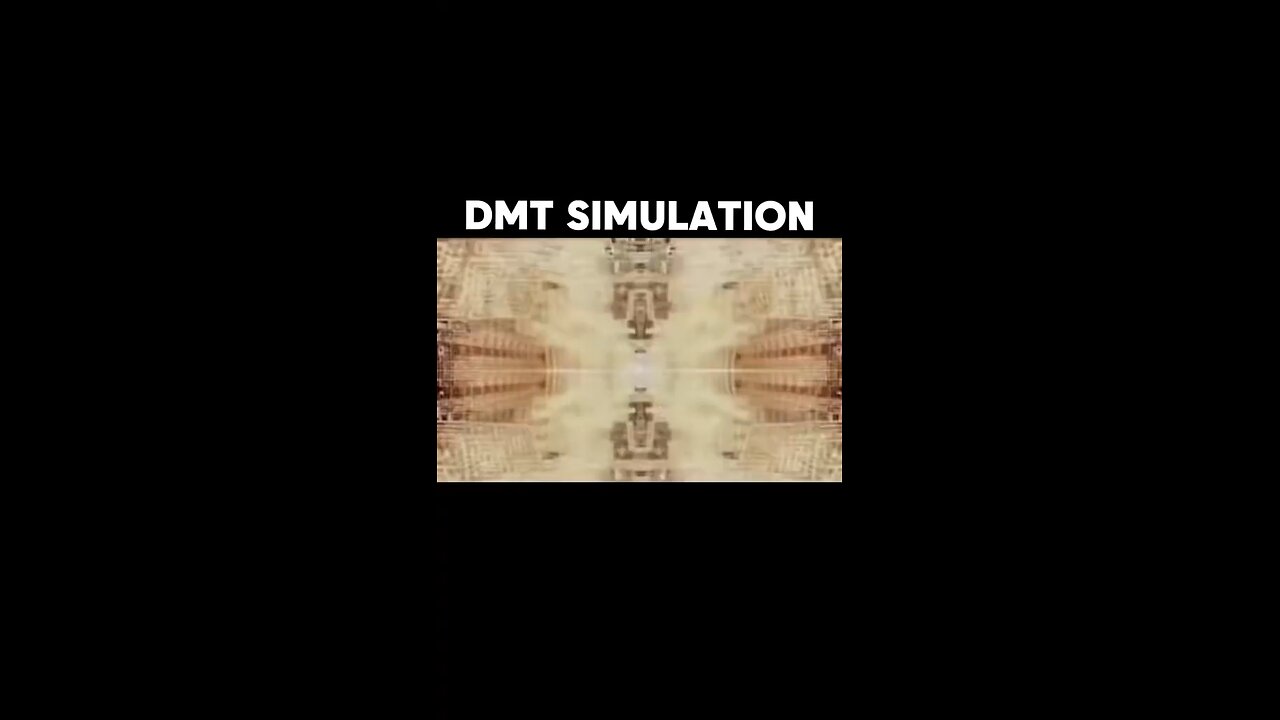 This is how Real DMT Trip looks like