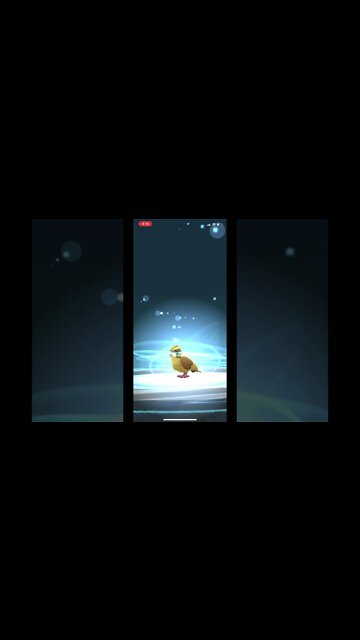 Pokémon Go - Evolving Pidgey Into Pidgeot Showcase #Shorts