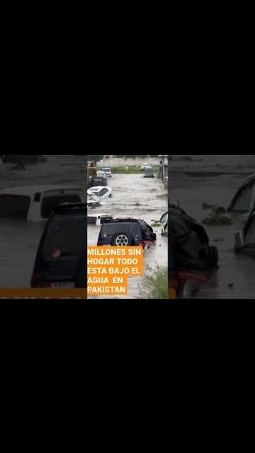 MILLONES SIN HOGAR DESESPERADOS BUSCAN REFUGIO ENTRE LAS AGUAS