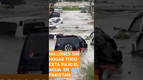 MILLONES SIN HOGAR DESESPERADOS BUSCAN REFUGIO ENTRE LAS AGUAS