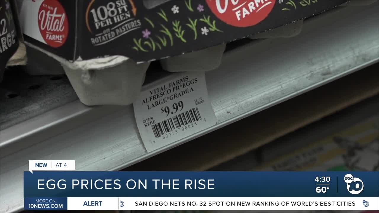 Egg shortages, prices rising because of bird flu