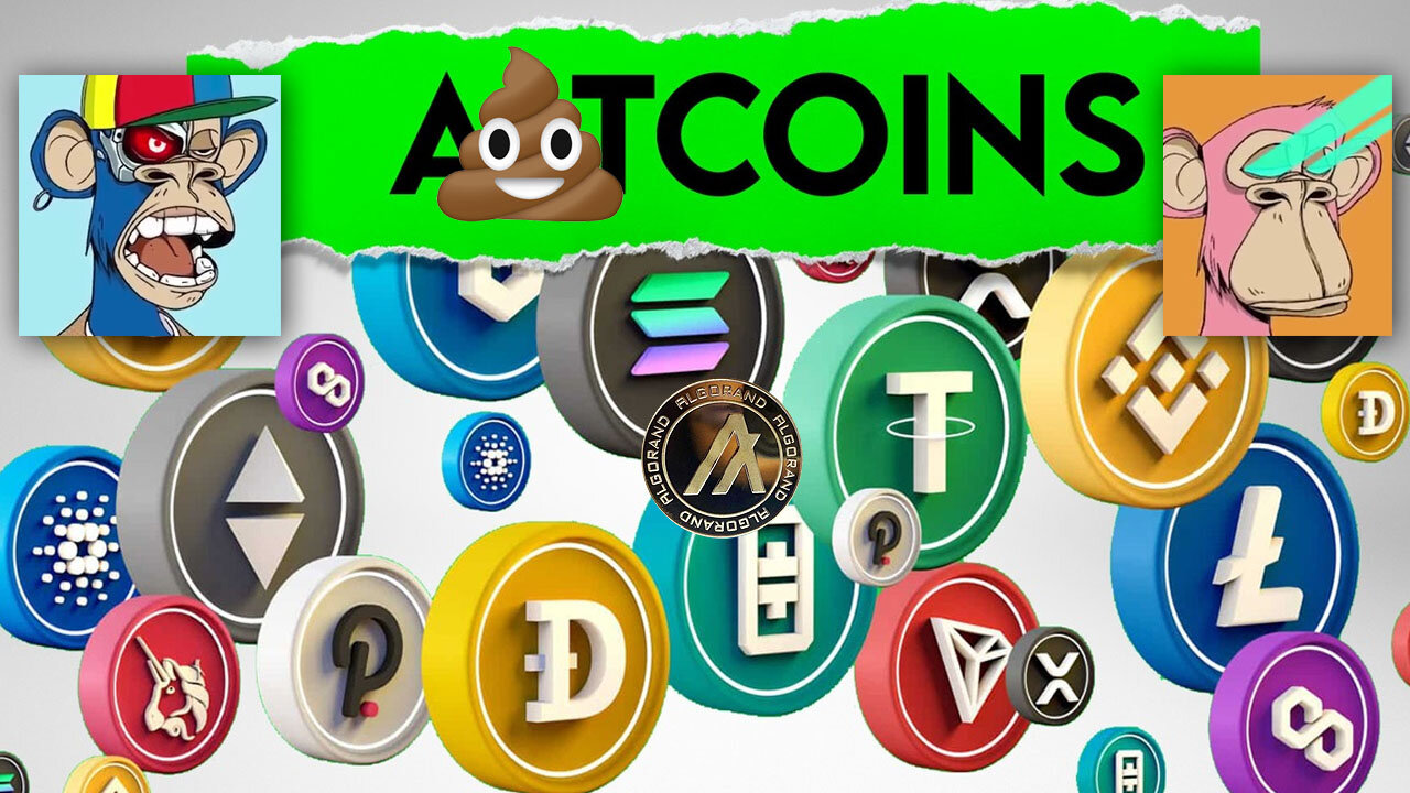 Why We Are Bitcoin Maximalists Who Stay The Fuck Away From Shitcoins & NFTs! 💩🪙