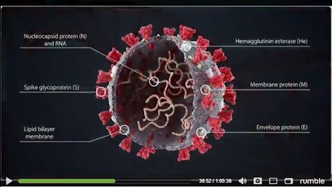 The satanic evil of mRNA on humanity. Explanation of God's divine image destroyed by the covid shot.