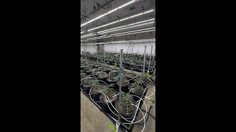 State of the Art marijuana facility