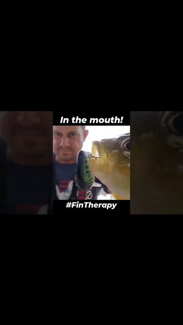 Sunfish I caught in my pond. #fintherapy #fishing #panfish #sunfish #pond