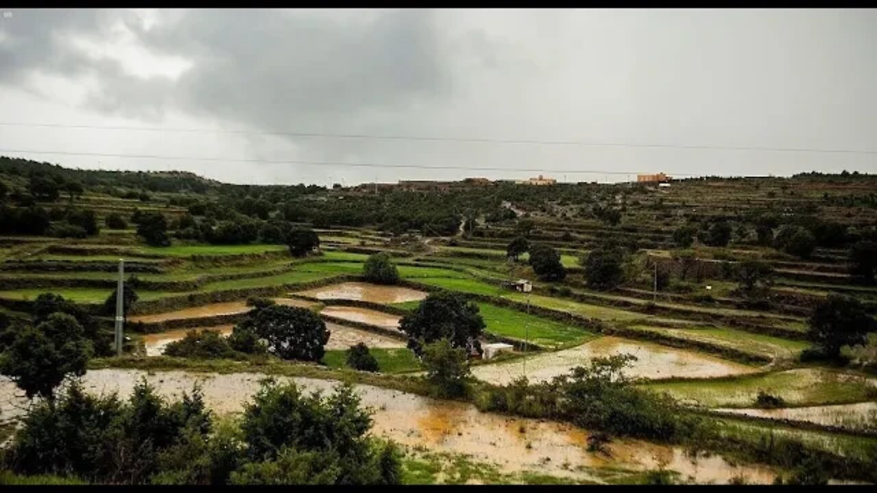 Saudia News 7 May, Rain in Aseer, Kerfu changings, Question of People and Answers