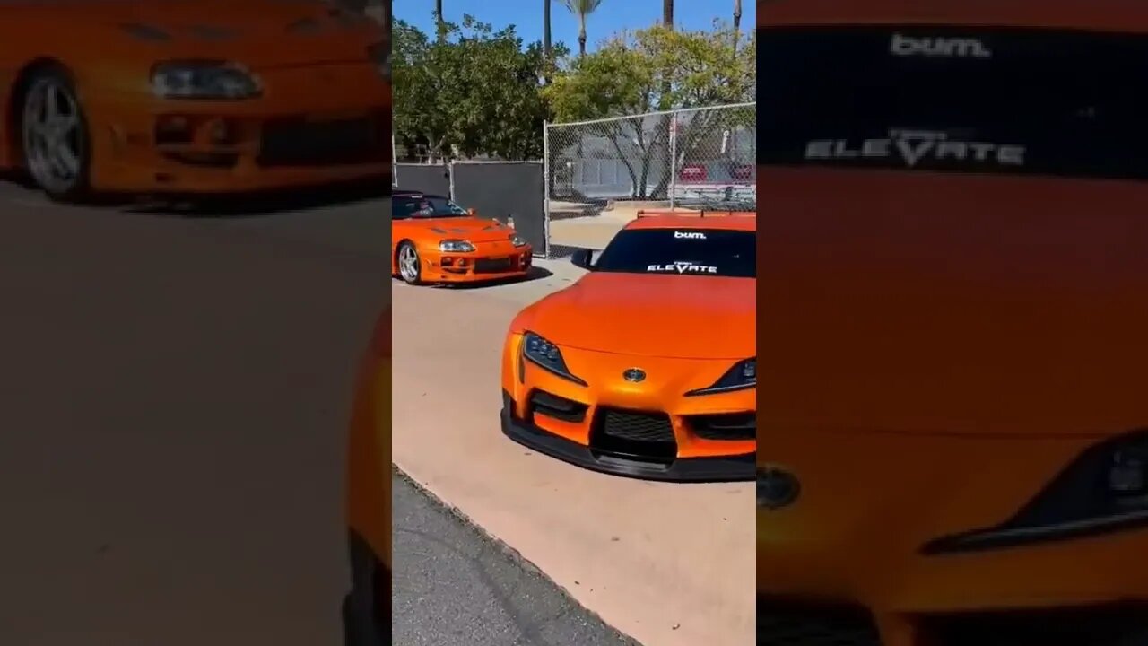New supra 🥵🥵 #onepercent_clubb #supra
