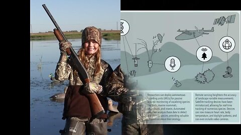 How Understanding the Basics of Rifle Hunting can Save You Time, Stress, and Money.