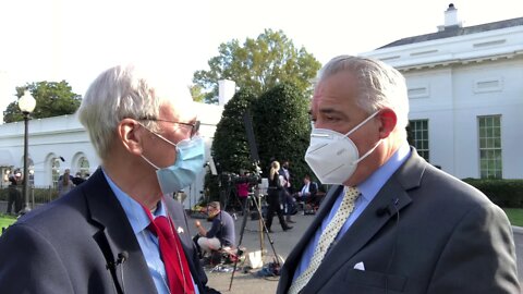 Newsmax Gizzi and Dr Harper