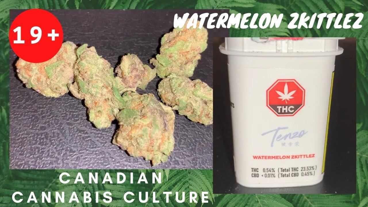 WATERMELON ZKITTLEZ by Tenzo | Review #10