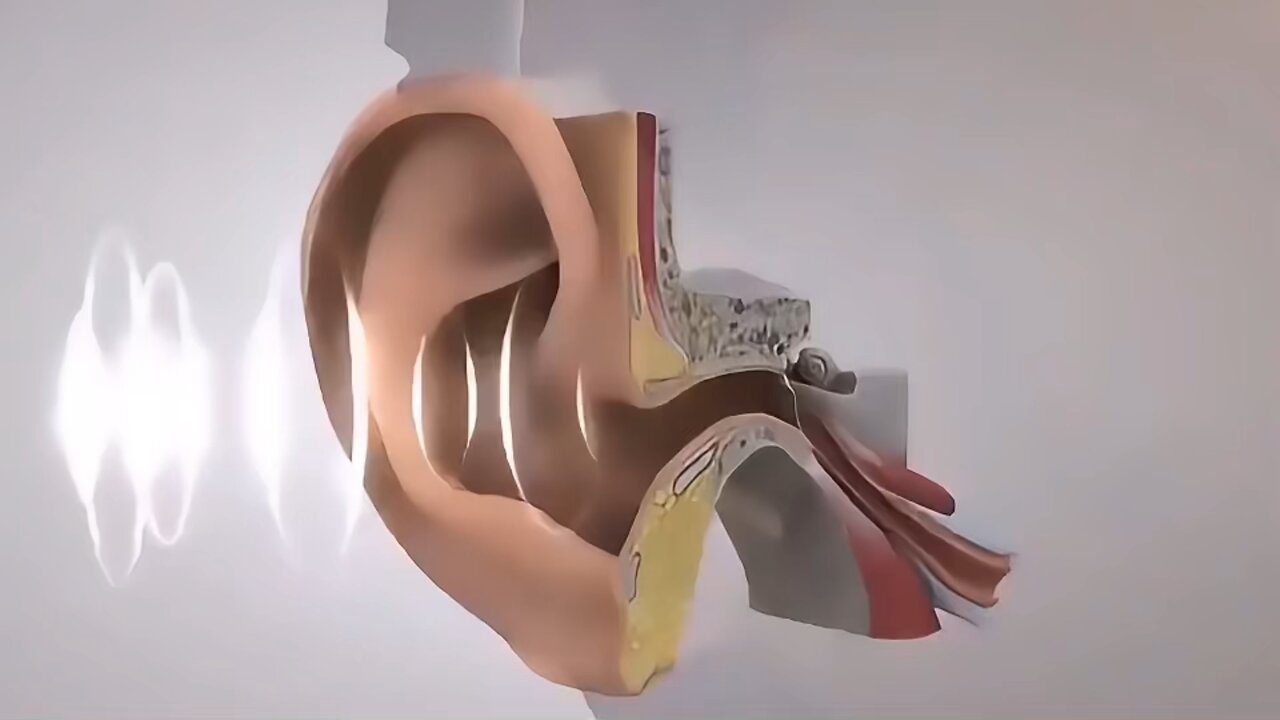 How do we are sound? Take a peek in this video explaining how it works.