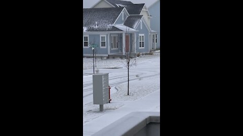 Tumble weeds in snow