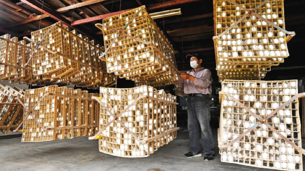 How Japanese Farmers Harvest and Process Millions of Silkworms into Silk in a Factory