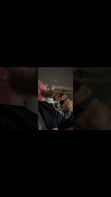 Norman the beard cleaner￼