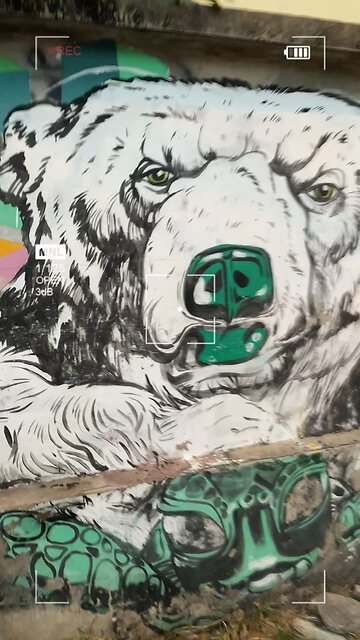 หมีมีนิ้วตั้งแต่เมื่อไหร่?