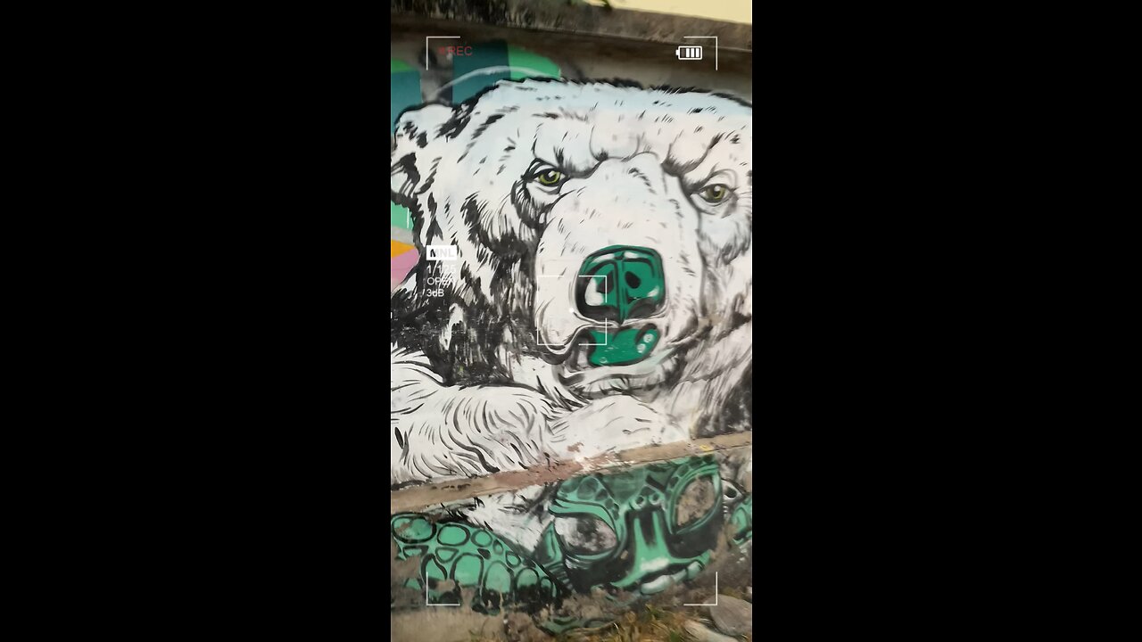 หมีมีนิ้วตั้งแต่เมื่อไหร่?