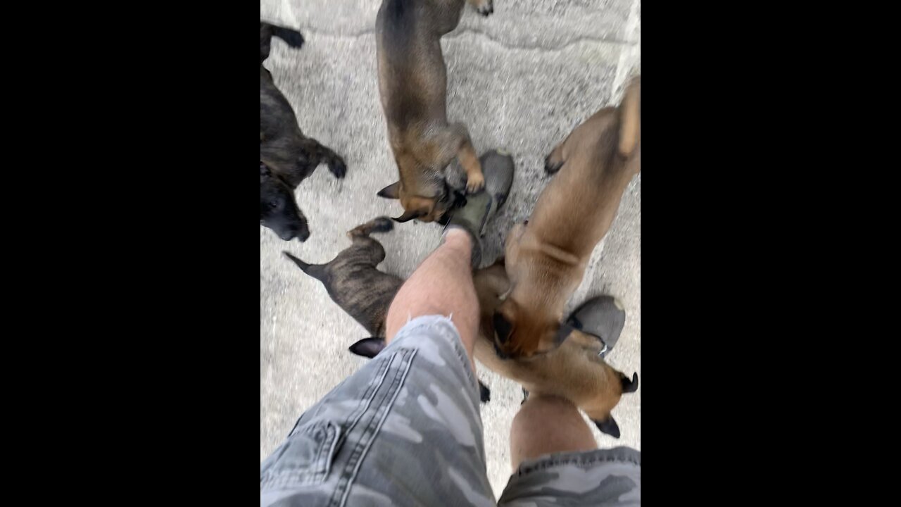 Biting babies