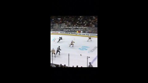 Funny Nhl clip