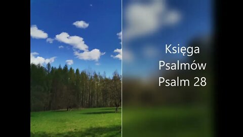 Księga Psalmów Psalm 28