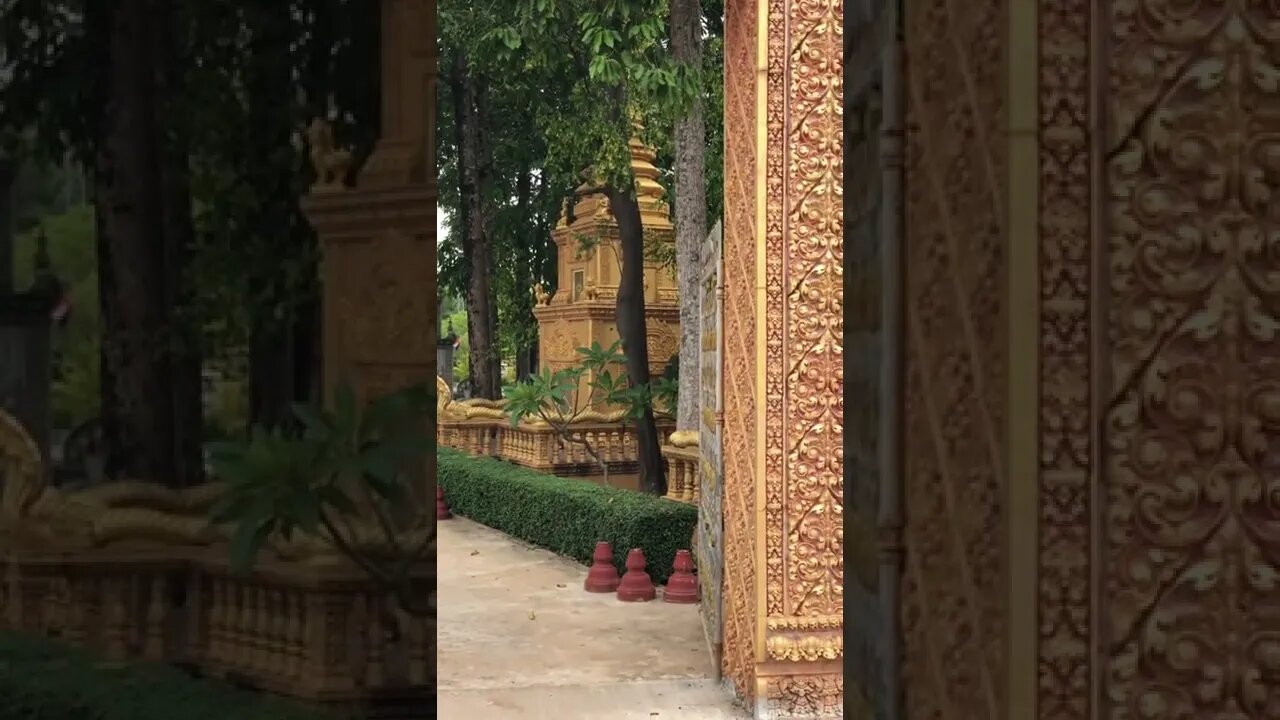 Wat KokPaTry Pagoda Siem Reap #shorts