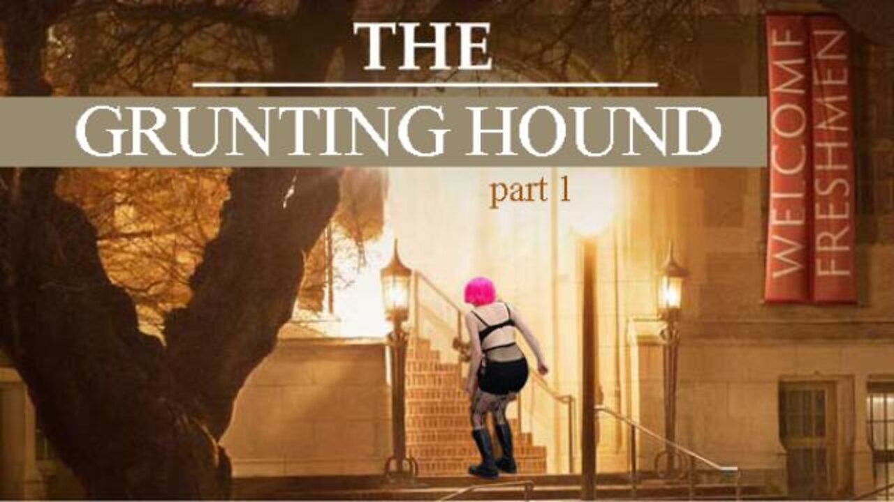 The Grunting Hound pt 1