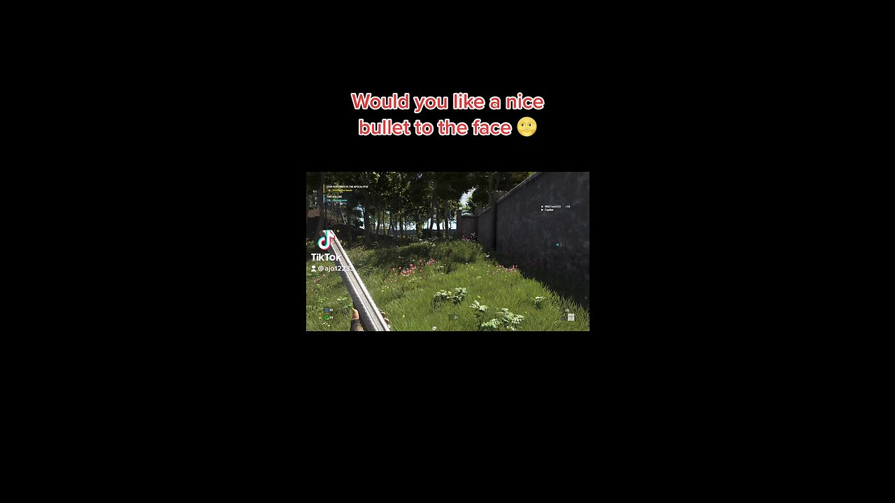 Would you like a nice bullet to the face 🌝