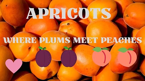 Apricots - Where Plums Meet Peaches