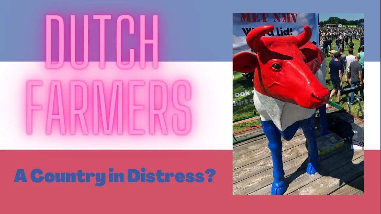 Dutch Farmer UPDATE - In DISTRESS ?