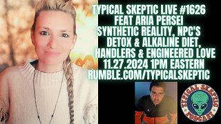 Targeting, Synthetic Reality, NPC's, Handlers & Engineered Relationships - Aria Persei - TSP #1626