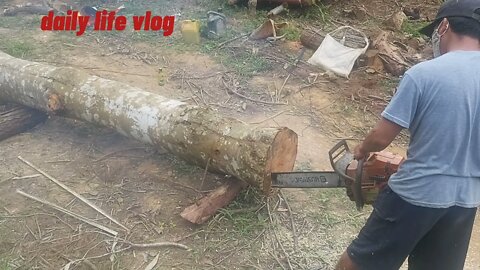 lumber for rent | daily life vlog