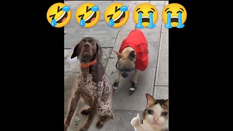 Funny moments capture 2023