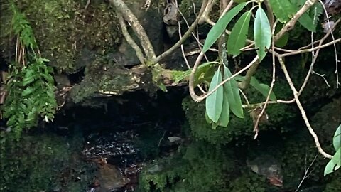 Cataract Falls #gatlinburg #vanlife