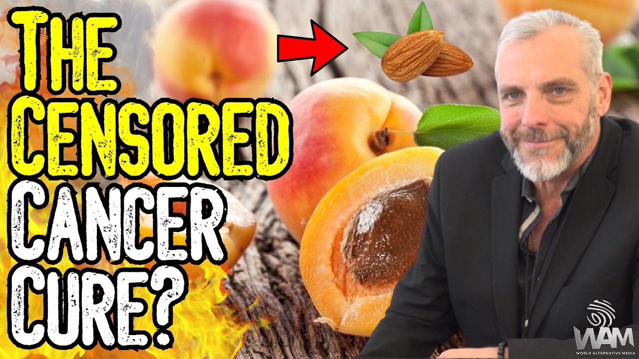 THE CENSORED CANCER CURE? - The Shocking Truth About Apricot Seeds! - From Cyanide To Amygdalin