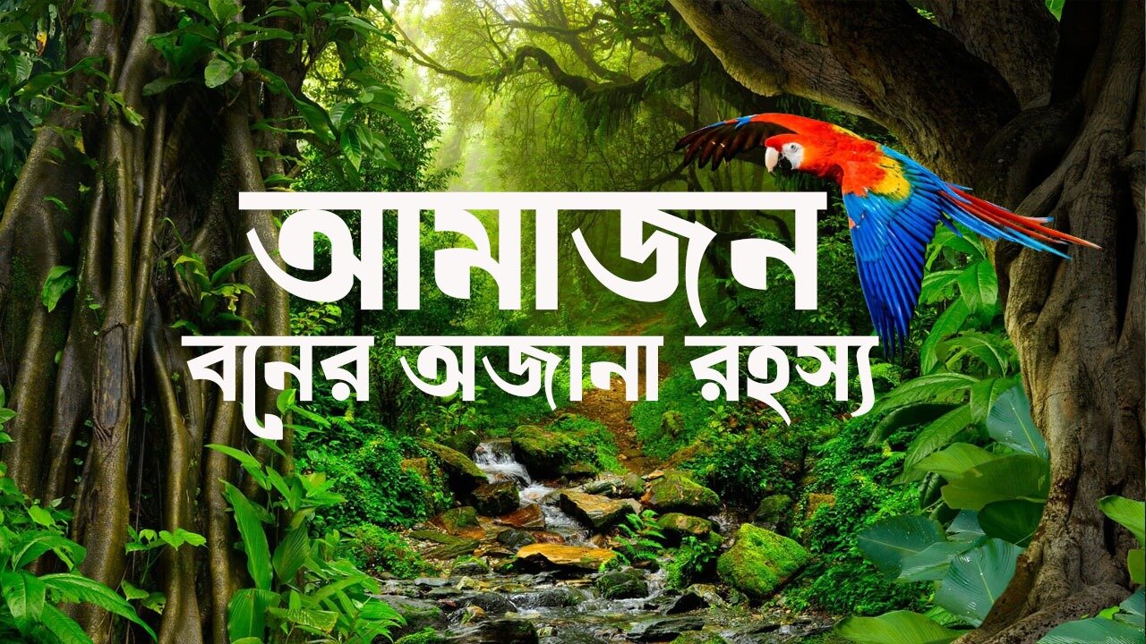 Amazon(আমাজন)- আমাজন অরণ্যের অজানা রহস্য