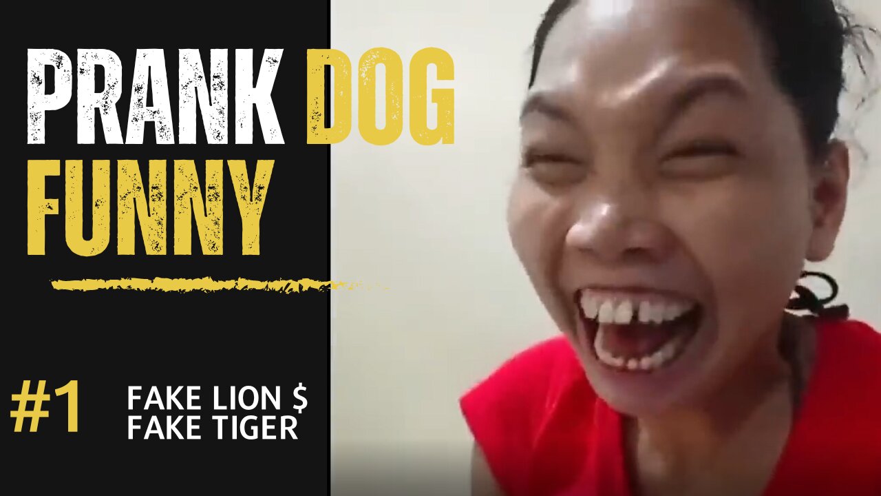 trolli funny prank doggy and fake lion also fake tiger