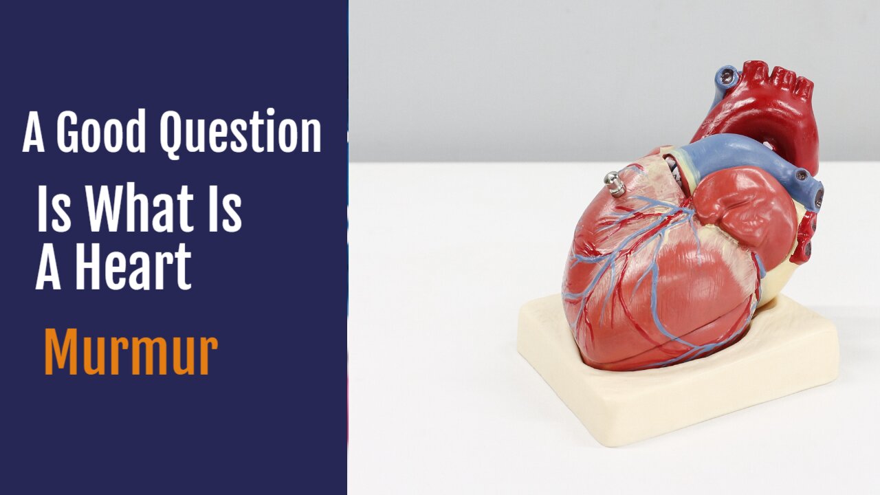 A Good Question Is What Is A Heart Murmur