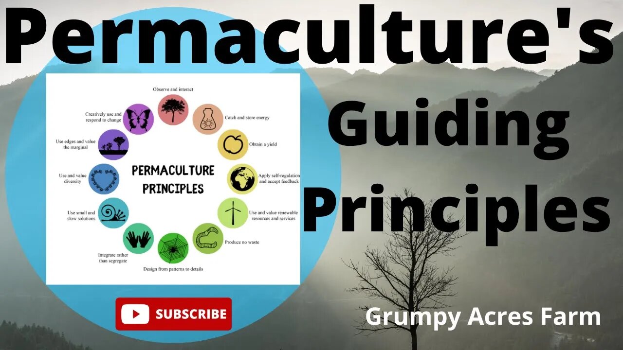 The 12 guiding principles of permaculture design...